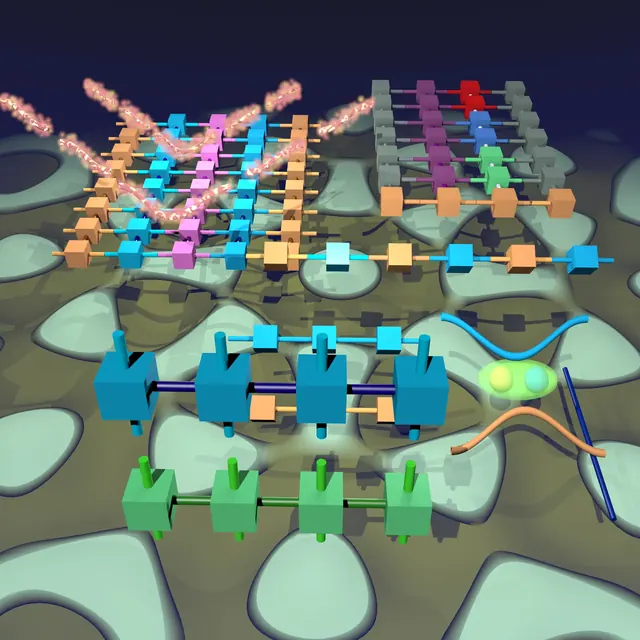 Tensor network solvers for ultra-large tight-binding Hamiltonians: algorithms and applications