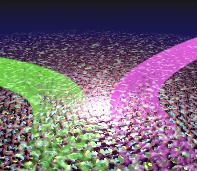 A Non-Hermitian Moiré Valley Filter